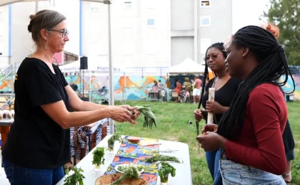 photo d’un stand sur les plantes aromatiques